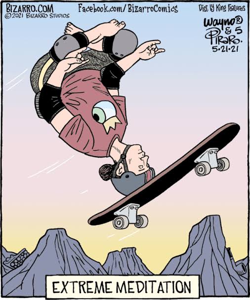 MeditatorSkateboarder MeditatorSkateboarder